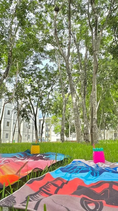 Apartmán Bonito Departamento Playa/Planta Baja Playa del Carmen